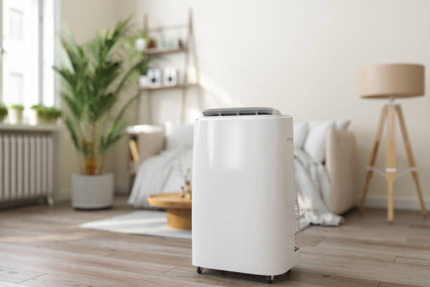 Best VRF (Variable Refrigerant Flow) Systems in Millen, GA